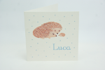 geboortekaartje luca lichtblauw